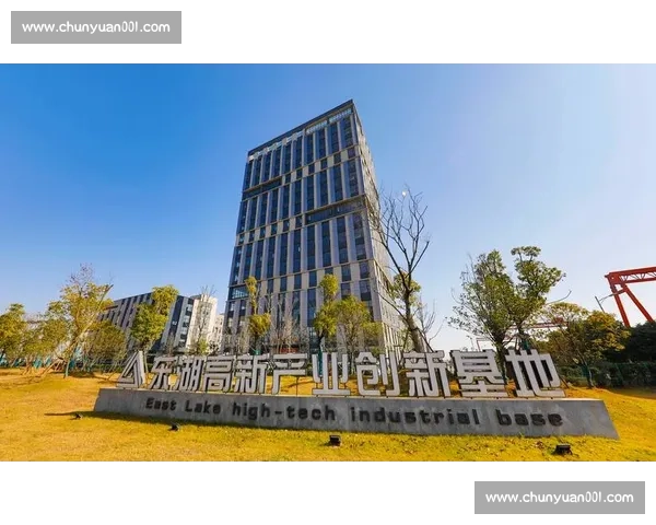 以市场聚焦驱动企业增长与价值创造的新战略路径探索系统化实践